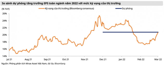Mirae Asset: Thị trường chứng khoán đang phản ánh tâm lý thận trọng của nhà đầu tư, hai nhóm ngành có thể đạt tăng trưởng EPS bằng lần trong năm 2022 - Ảnh 1.