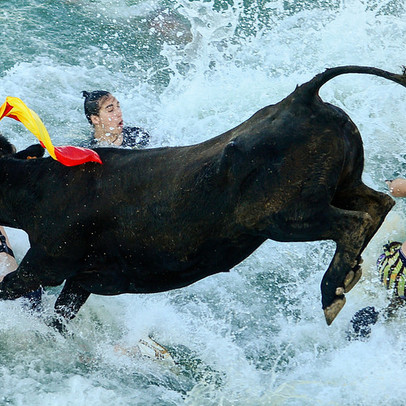 Mirae Asset: VN-Index có thể lấy lại mốc 900 điểm trong giai đoạn cuối năm 2020