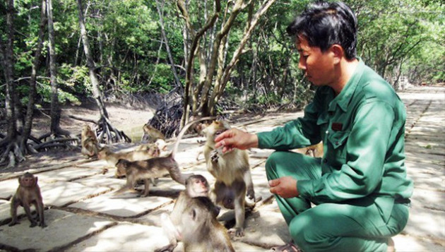 Mở cửa dần kinh tế không khói: Kích hoạt du lịch từ Cần Giờ - Ảnh 1.