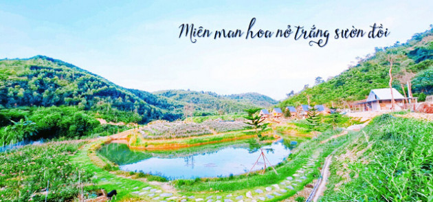 Mơ về ngôi nhà trên thảo nguyên, người phụ nữ chi gần 20 tỷ mua hơn 2ha đất làm farmstay - Ảnh 4.