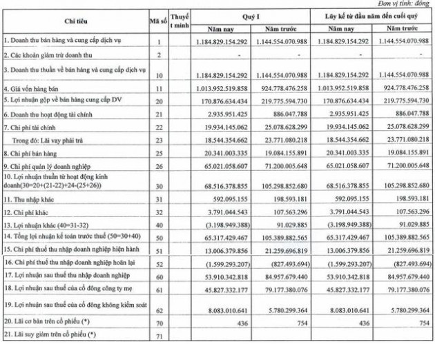 Mỏ Việt Bắc (MVB) báo lãi quý 1 sụt giảm 37% dù doanh thu tăng trưởng - Ảnh 1.