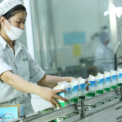 Mộc Châu Milk chào sàn Upcom với giá tham chiếu 30.000 đồng/cp