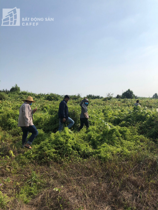 Môi giới bất động sản Sài Gòn đổ về Nhơn Trạch kiếm sống, chờ thời - Ảnh 2.