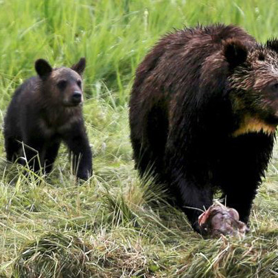 Morgan Stanley: FED hạ lãi suất nhưng có thể đã quá muộn để cứu nền kinh tế Mỹ khỏi suy thoái