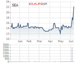 Một cá nhân vừa chi xấp xỉ 370 tỷ đồng mua 25 triệu cổ phần Seaprodex - Ảnh 2.