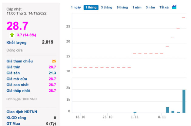 Một cổ phiếu bất động sản bất ngờ tăng 140% chỉ sau 2 tuần - Ảnh 1.