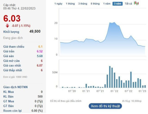 Một công ty chứng khoán muốn bán 5,9 triệu cổ phiếu SAM Holdings (SAM) ngay vùng đáy - Ảnh 1.