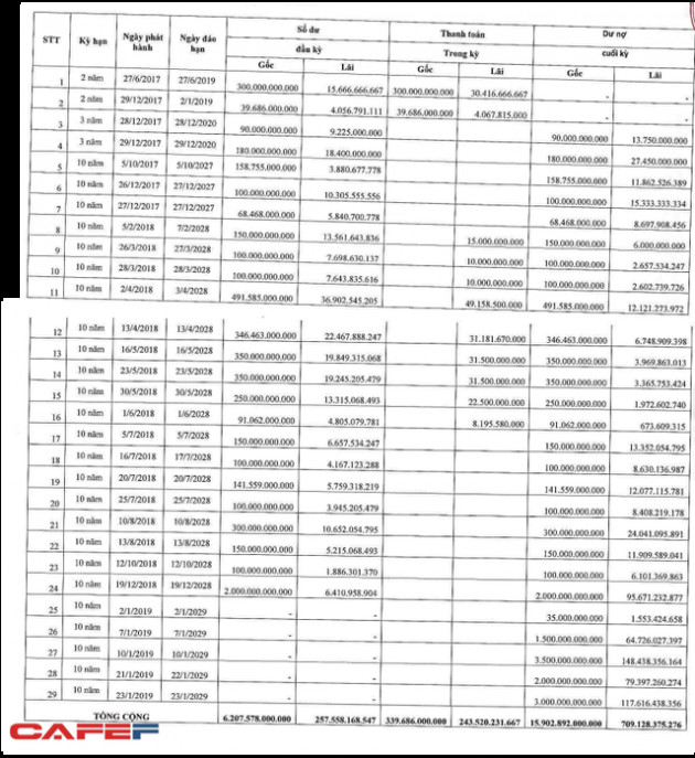 Một công ty không-ai-biết vốn chỉ 100 tỷ huy động thành công 12.000 tỷ đồng trái phiếu chỉ trong 1 tháng - Ảnh 1.