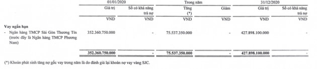 Một công ty lỗ âm vốn chủ 849 tỷ đồng nợ Sacombank hơn 950 tỷ đồng - Ảnh 1.