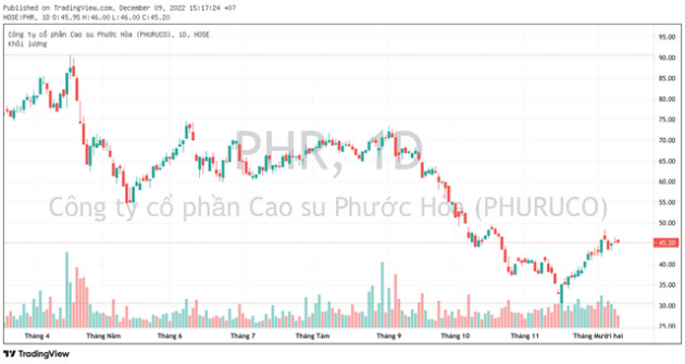 Một doanh nghiệp Bất động sản KCN sắp chi hơn 500 tỷ đồng trả cổ tức 2022 - Ảnh 1.