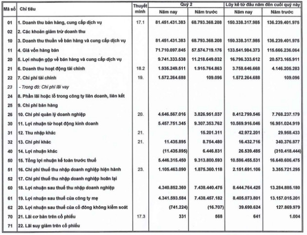 Một doanh nghiệp logistics báo lãi ròng quý 2 giảm 42% so với cùng kỳ, 6 tháng chỉ hoàn thành 32% kế hoạch lợi nhuận - Ảnh 1.