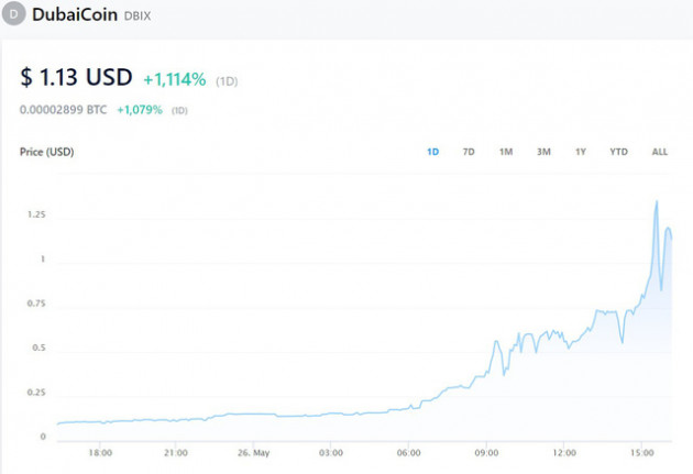 Một đồng tiền số tăng giá 1.000% trong 24 giờ - Ảnh 1.