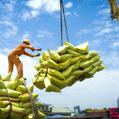 Một loại nông sản xuất khẩu sang Indonesia tăng đột biến về cả kim ngạch lẫn sản lượng