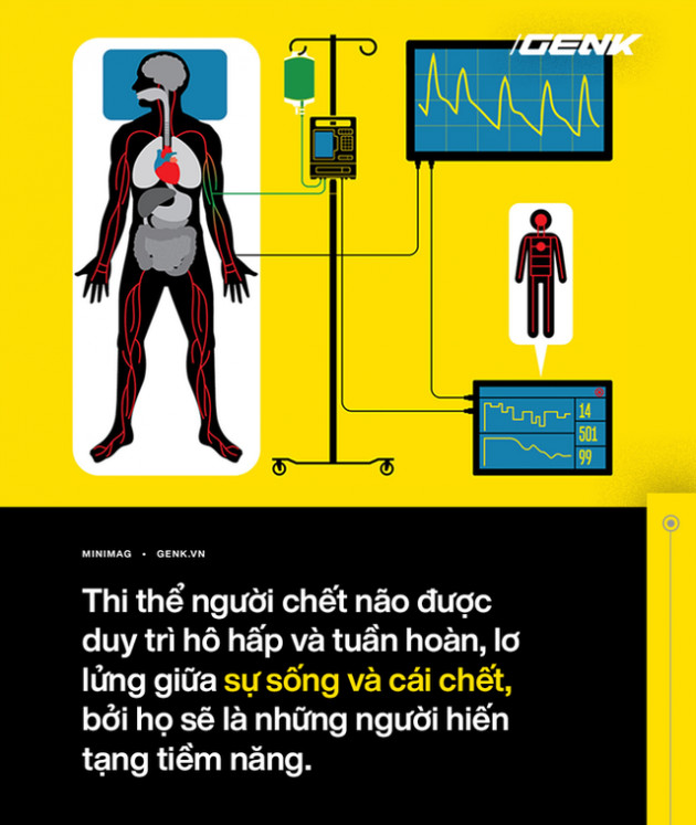 Một ngày thần chết sẽ nghỉ hưu: Con người đang định nghĩa lại cái chết và tìm cách đảo ngược nó - Ảnh 4.