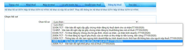 Một người có 2 mã số thuế cá nhân thì giải quyết ra sao? - Ảnh 3.