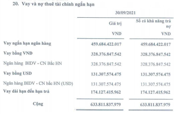 Một penny ngành sợi miệt mài tăng gấp 5 lần kể từ đầu năm bất chấp thua lỗ 11 quý liên tiếp, quá khứ tai tiếng giảm sàn 30 phiên - Ảnh 4.