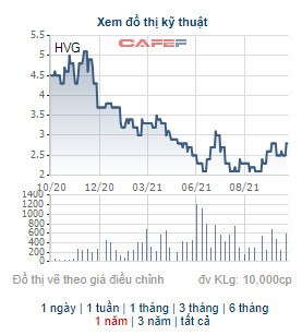 Một Thành viên HĐQT đã bán nốt 2 triệu cổ phiếu HVG, không còn là cổ đông của Hùng Vương - Ảnh 1.