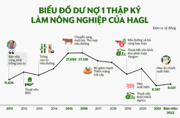 Một thập kỷ vay nợ của Hoàng Anh Gia Lai - Ảnh 1.