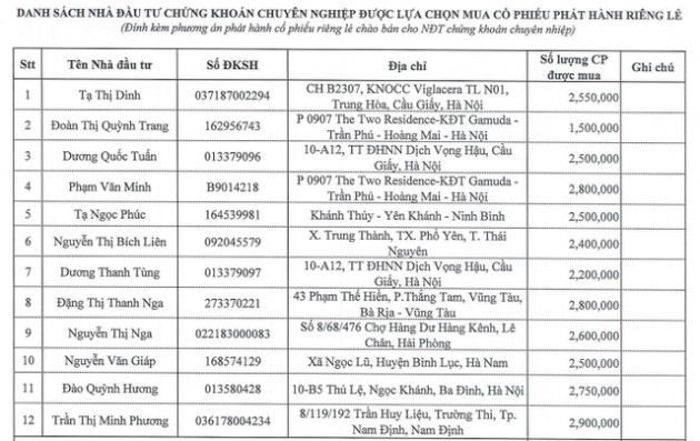 MST Invest thông qua phương án phát hành riêng lẻ 30 triệu cổ phiếu, tăng vốn gần gấp đôi - Ảnh 1.