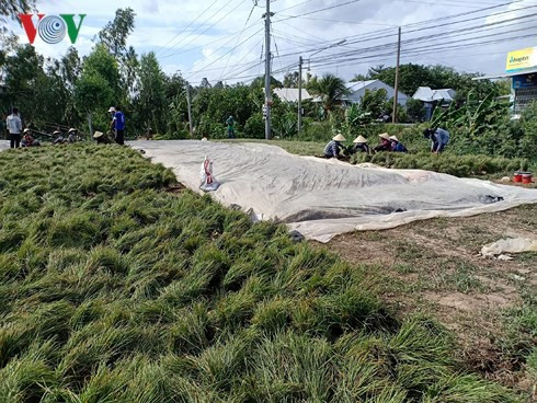 Mùa kiệu buồn trong vòng xoáy “cung vượt cầu“