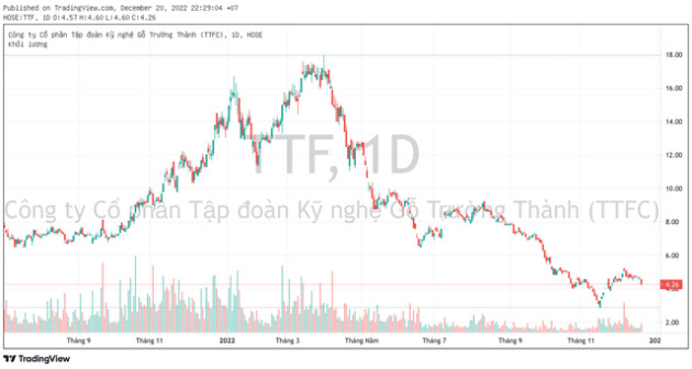 Mua thêm gần 31 triệu cổ phiếu TTF, một cá nhân trở thành cổ đông lớn của Gỗ Trường Thành - Ảnh 1.