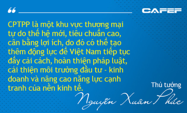 Mừng - lo Hiệp định CPTPP dưới góc nhìn từ Nhà nước, Chính phủ đến doanh nghiệp - Ảnh 2.