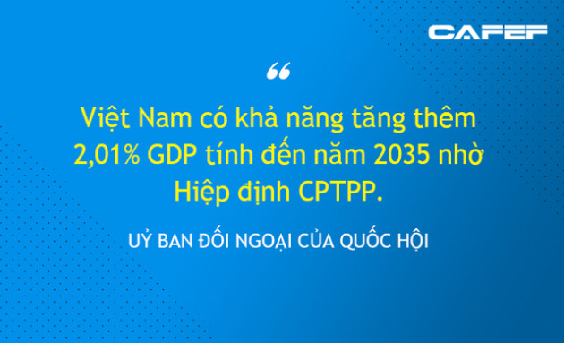 Mừng - lo Hiệp định CPTPP dưới góc nhìn từ Nhà nước, Chính phủ đến doanh nghiệp - Ảnh 3.