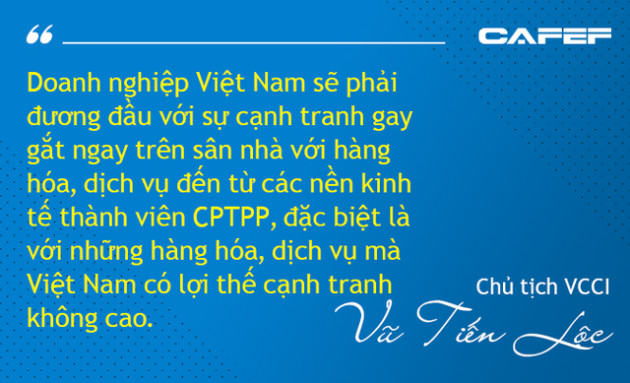 Mừng - lo Hiệp định CPTPP dưới góc nhìn từ Nhà nước, Chính phủ đến doanh nghiệp - Ảnh 5.