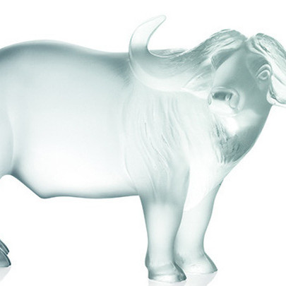 Mừng năm con trâu, thương hiệu pha lê LALIQUE giới thiệu kiệt tác mới