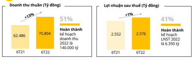 MWG báo lãi quý II giảm, đến cuối quý III sẽ còn 1.700-1.800 cửa hàng Bách Hóa Xanh - Ảnh 1.