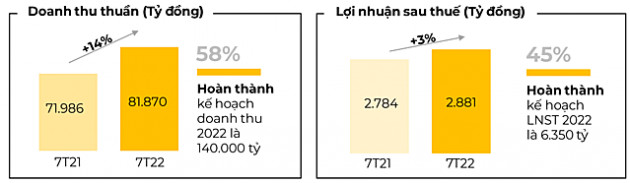 MWG lãi 305 tỷ đồng tháng 7, tăng 32% so với nền thấp năm ngoái nhưng thấp hơn các tháng trước