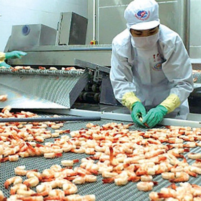 Mỹ ra khỏi top 10, Việt Nam vững vàng ở top 3 các nước xuất khẩu thuỷ sản lớn nhất thế giới