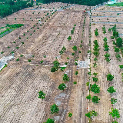 Năm 2021, siết chặt tình trạng phân lô bán nền tràn lan