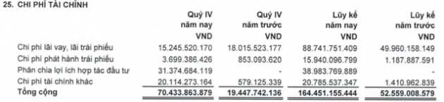 Năm 2022, LDG chỉ lãi 4 tỷ đồng - cách xa kỳ vọng 310 tỷ đồng - Ảnh 2.