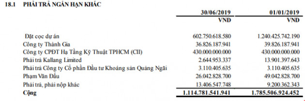 Năm Bảy Bảy (NBB): 6 tháng lãi 232 tỷ đồng vượt 52% kế hoạch cả năm 2019 - Ảnh 3.