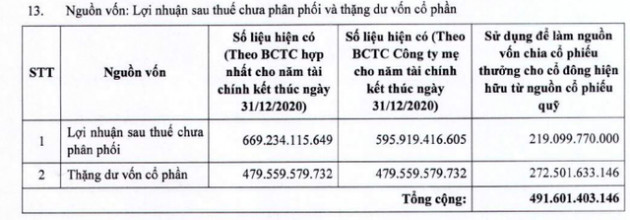 Năm Bảy Bảy (NBB) công bố ngày chốt danh sách cổ đông dùng 22 triệu cổ phiếu quỹ chia thưởng - Ảnh 1.