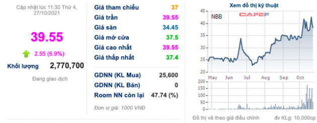 Năm Bảy Bảy (NBB): Quý 3/2021 thoát lỗ nhờ chuyển nhượng dự án, 9 tháng thực hiện 74% chỉ tiêu lợi nhuận với 335 tỷ đồng - Ảnh 2.