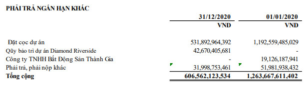 Năm Bảy Bảy (NBB): Quý 4 lãi 182 tỷ đồng, cao gấp 53 lần cùng kỳ - Ảnh 2.