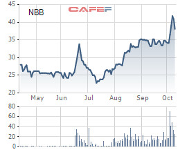 Năm Bảy Bảy (NBB): Thị giá tăng 64% từ đầu năm, sắp chia gần 22 triệu cổ phiếu quỹ cho cổ đông - Ảnh 1.