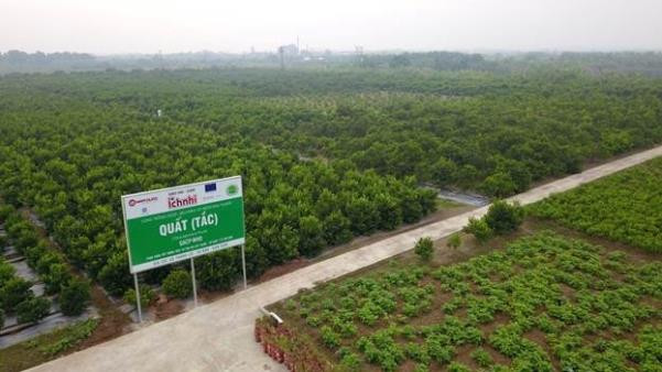 Nam Dược – ghi nhận mức tăng trưởng ấn tượng năm 2022 - Ảnh 2.