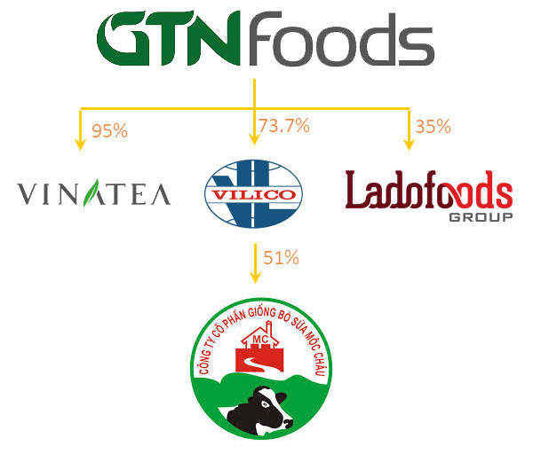 GTNfoods: Khi công ty chuyên đi M&A đứng trước những đề nghị thâu tóm - Ảnh 2.