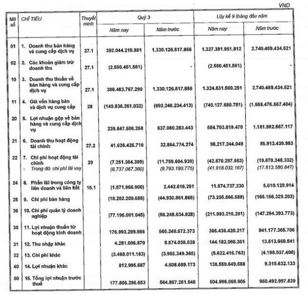 Nam Long (NLG): Lãi sau thuế 9 tháng giảm 40% về 447 tỷ đồng, đạt 47% kế hoạch năm - Ảnh 1.