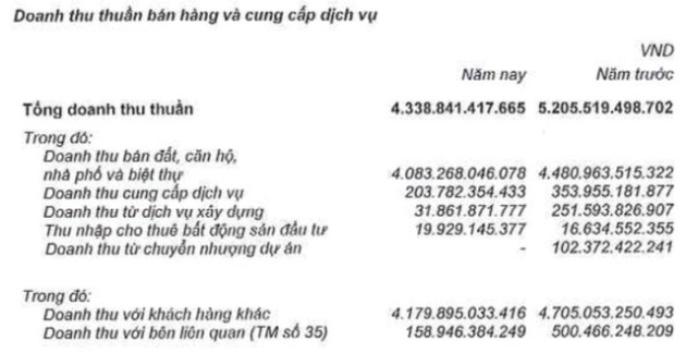 Nam Long (NLG): Lợi nhuận năm 2022 sụt giảm mạnh - Ảnh 1.