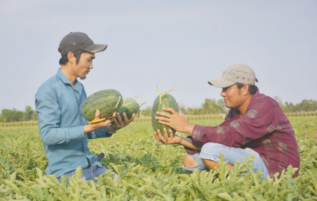  Nắng cháy da, nông dân vẫn tươi cười vì được mùa dưa hấu ngọt - Ảnh 5.