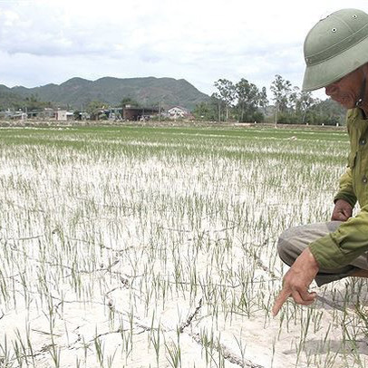 Nắng nóng gay gắt, gần 12.500 ha ở Ngệ An 'khát nước'