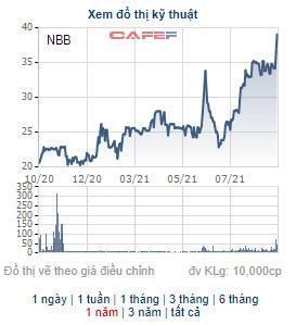 NBB tăng 77% từ đầu năm, CII muốn bán bớt 4,5 triệu cổ phiếu - Ảnh 1.