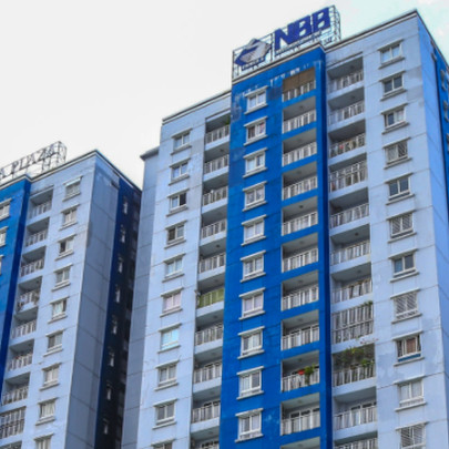 NBB tăng 77% từ đầu năm, CII muốn bán bớt 4,5 triệu cổ phiếu