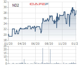 Nedi 2 báo lãi quý 4/2020 đạt 28 tỷ đồng, tăng gấp 20 lần so với cùng kỳ - Ảnh 2.