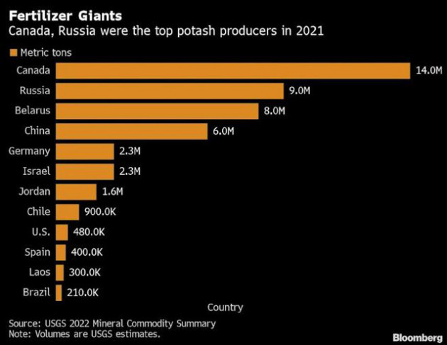 Nga dự định ngừng xuất khẩu phân bón giữa lúc giá lương thực thế giới tăng vọt - Ảnh 1.
