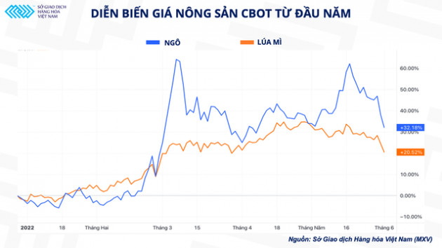 Nga thiết lập hành lang nhân đạo: Liệu nút thắt cho nguồn cung lúa mì sẽ được gỡ bỏ? - Ảnh 2.